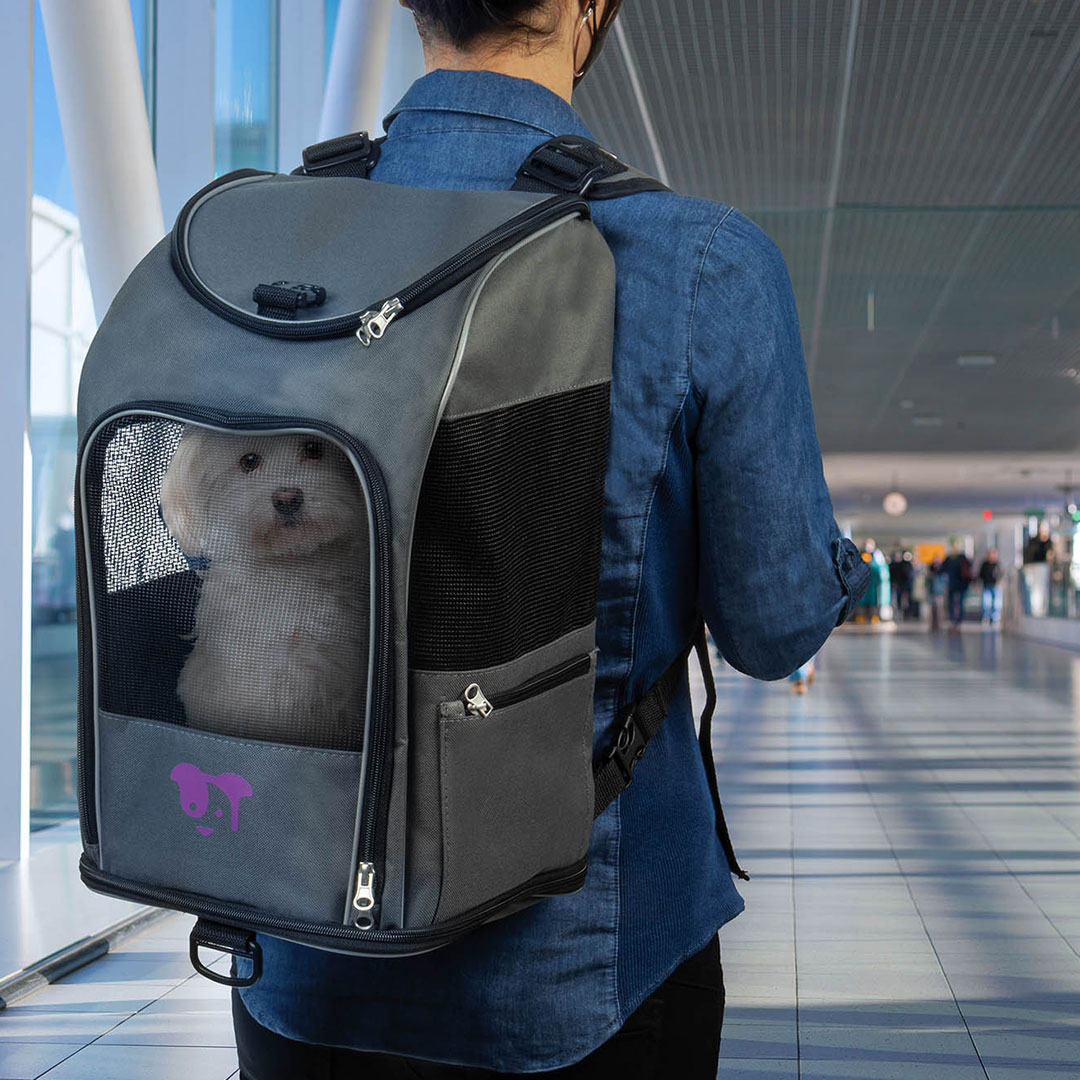 trustypup's tweet image. Airline Approved &amp;amp; Coffee Shop Ready ☕✈️
•
Our economical backpack is pawfect for small dogs or cats up to 16lbs, so you can take them on the go to your favorite places in town.
•
 ow.ly/YXqf50OHoI3
•
#trustypup #catbackpack #adventuredogs #adventurecats