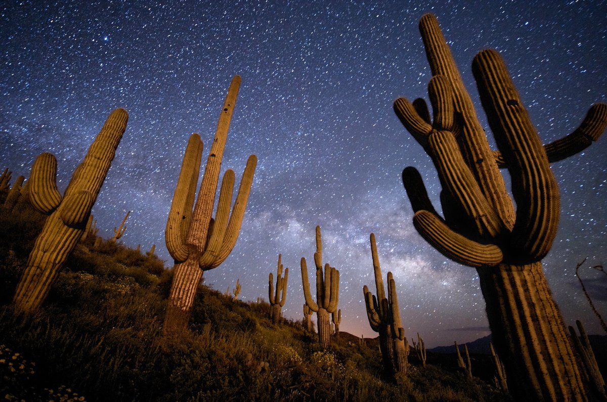 Jim Richardson (@jimrichardsonng) on Twitter photo Charted: Distance to dark skies. Most Americans have to go a long ways to see dark skies like this (in Arizona.) #darkskies #darksky <a href="/IDADarkSky/">DarkSky International</a>
axios.com/2023/06/10/sta… Charted: Distance to dark skies. Most Americans have to go a long ways to see dark skies like this (in Arizona.) #darkskies #darksky <a href="/IDADarkSky/">DarkSky International</a>
axios.com/2023/06/10/sta…