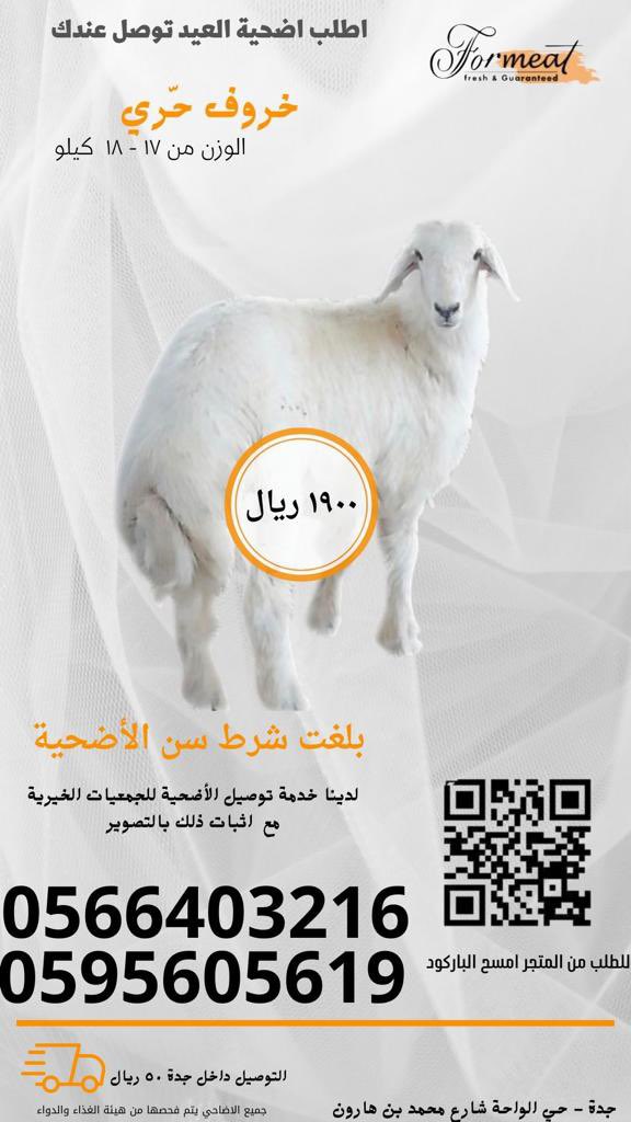 4MEATSA's tweet photo. بدأ الحجز الان لآضاحي العيد 

ذبيحة حّري وزن ١٧ - ١٨ كيلو  بـ ١٩٠٠ ريال 

مركز فورميت جدة / حي الواحة شارع محمد بن هارون 

https://t.co/wacHH1HzL6اضحية-العيد/c2000877056

#عيد_الاضحى_المبارك  #ذبايح_العيد #جدة https://t.co/rMdWwi7Gha