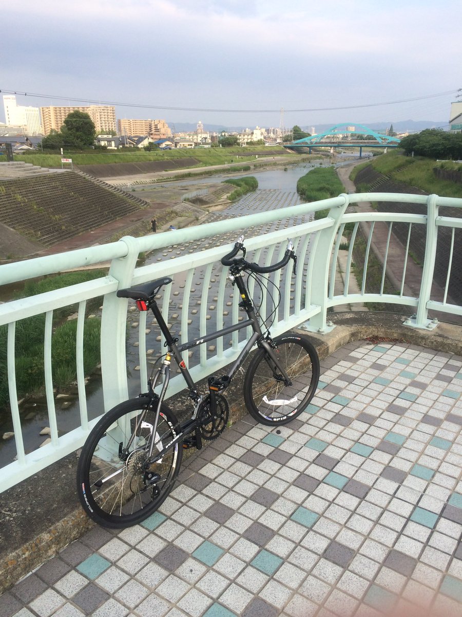 @JI5mBsuBI35HLZ4 ミニベロという自転車です☺️