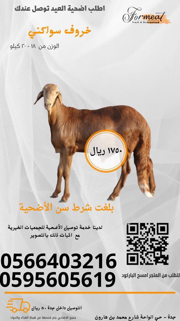 4MEATSA's tweet photo. بدأ الحجز الان لآضاحي العيد 

ذبيحة سواكني  وزن   ١٨ - ٢٠ كيلو  بـ ١٧٥٠ ريال 

مركز فورميت جدة / حي الواحة شارع محمد بن هارون 

https://t.co/wacHH1HzL6اضحية-العيد/c2000877056

#عيد_الاضحى_المبارك  #ذبايح_العيد #جدة https://t.co/oe2cTk7CEh