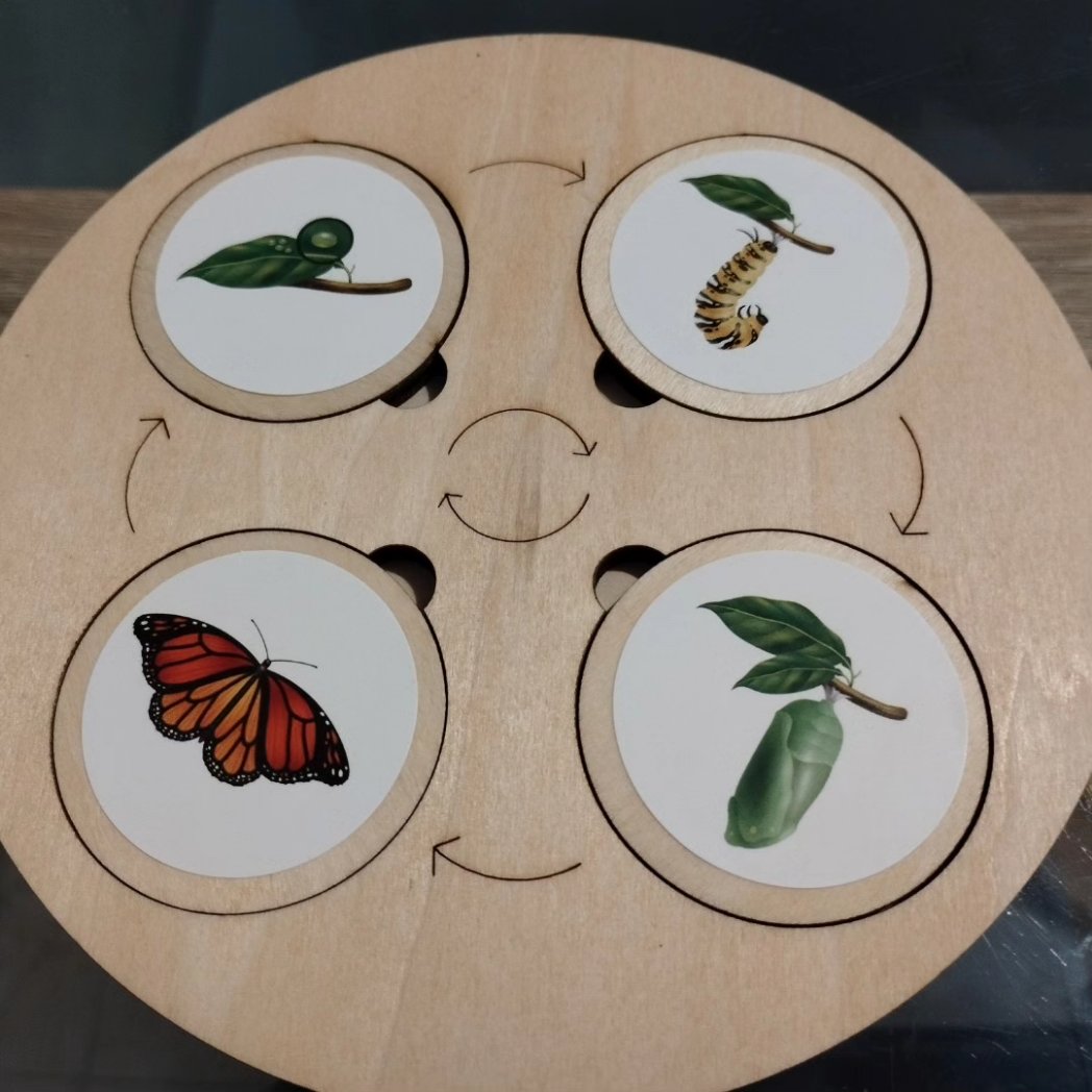MariseValle's tweet photo. Mirad qué preciosura de material he comprado en #aliexpress para trabajar los ciclos de vida en casa y en el cole.
Y súper económico. Unos 11€ me costó 😍.
#ciclosdevida #biologia #infantilmolamil #bichos #plantas https://t.co/HxCIlm7DDn