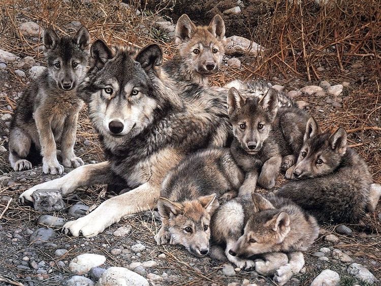 Pls RT 🦋 

#คฤหาสน์เดล - Special - 

Taylor Jaylor Dale ch. 13 (END)

Link: readawrite.com/c/c745c6117ea1…
Type: Vampire &amp; Wolf

🍁 ลูกเต็มบ้านหลานเต็มเมือง
#JaeTen
#คฤหาสน์เดล