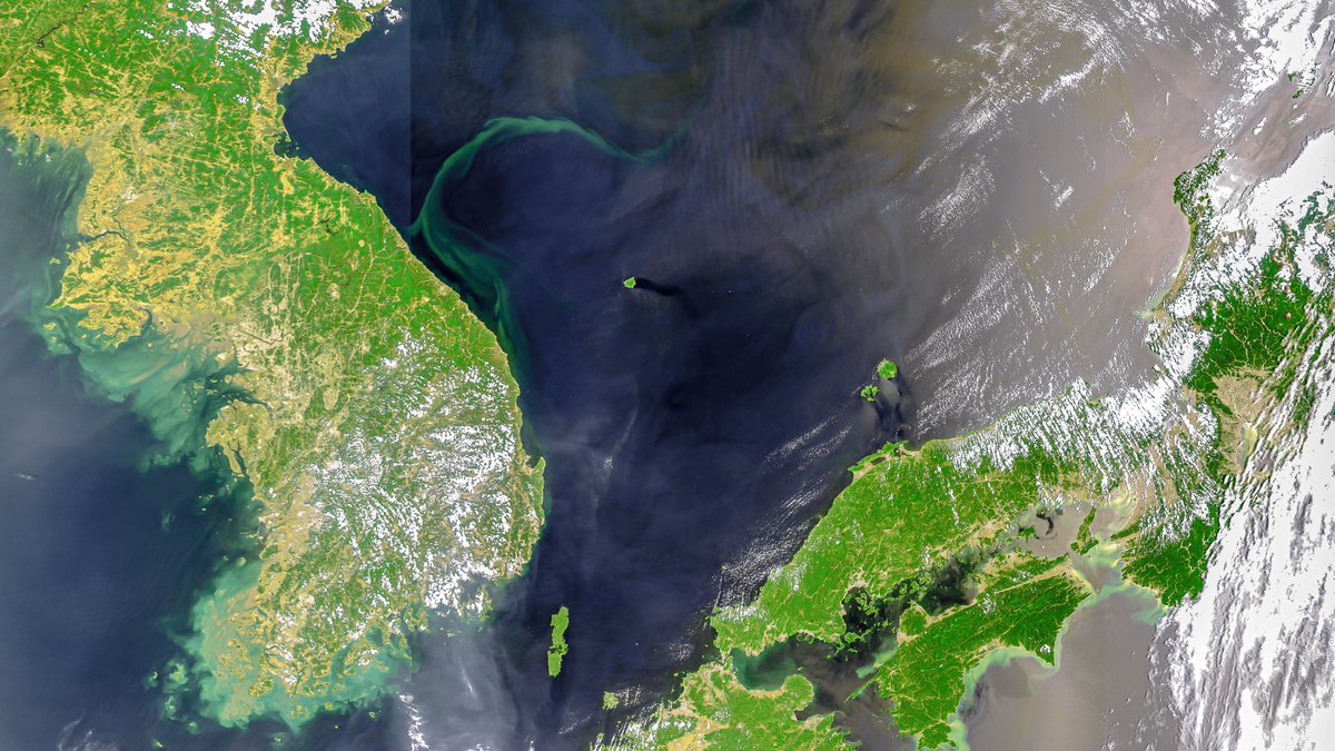 brloveday's tweet image. Off to Busan, Korea for the #OSOS3 conference. Some beautiful ocean colour going on there right now, as captured by @CopernicusEU #Sentinel3 OLCI. Check that plume out! At conference &amp;amp; want to know how to make images like this? Come to our @eumetsat, @NOAA, #KIOST/KHOA training!