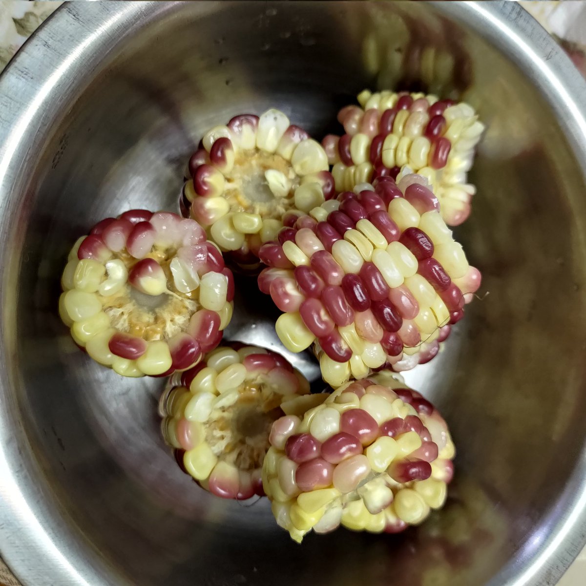 da_da__n's tweet photo. 台湾のトウモロコシ🌽
これがモチモチしてて美味いのよ😁
腹持ちも良く、甘さ控えめでサッパリ美味しい👍👍
夜市とかの屋台でも売ってるよー

#台湾 #台北 #台湾グルメ #台北グルメ
#とうもろこし #台湾夜市 https://t.co/2MTDzZLv1F