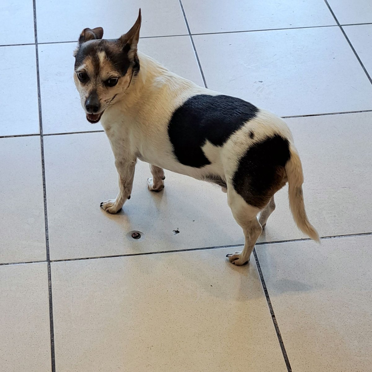 hmv Liverpool tweet media