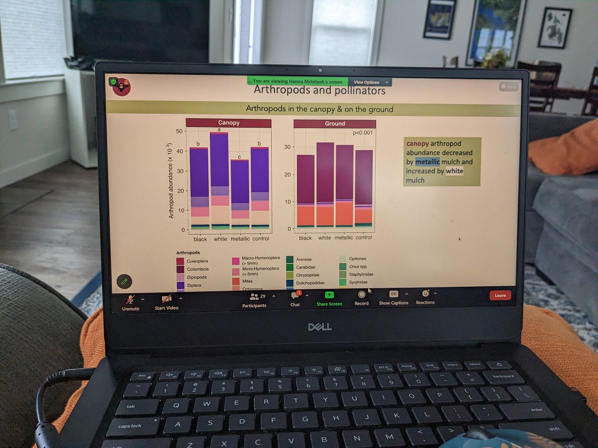 When worlds collide! 🤩 My berry pollination and mulch interests collided while listening to Dr. Hanna McIntosh's fantastic exit seminar! Fantastic and impactful work!