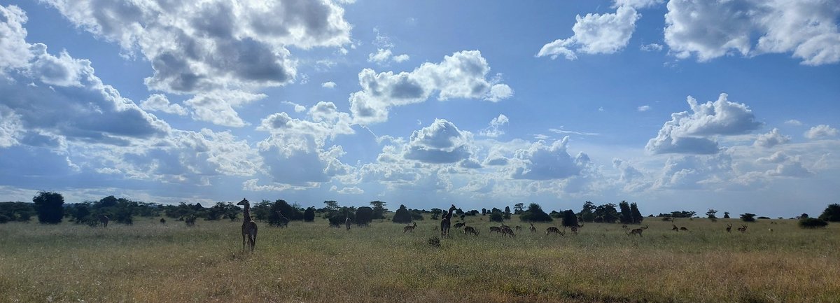 ianwright9968's tweet photo. Taking time to slow down and rest for 24 hours @OloloLodge https://t.co/BaRb6qf5Y9
