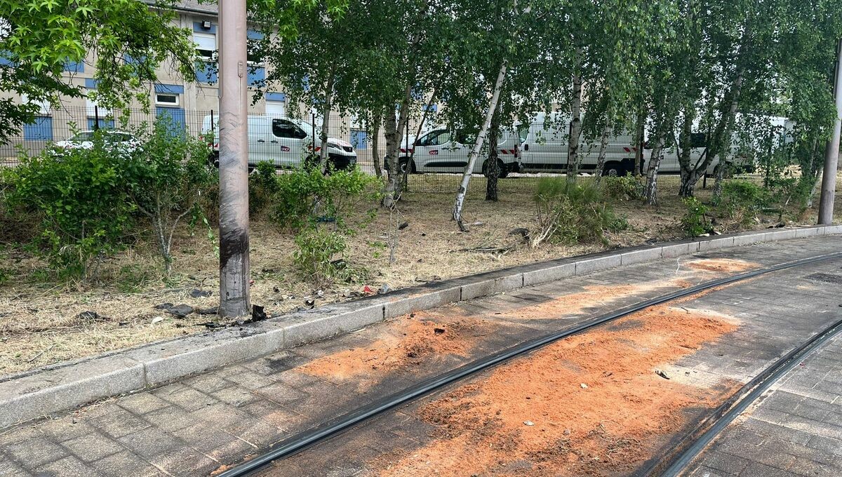 Trois morts, deux blessés graves : que s'est-il passé lors du dramatique accident à Fleury-les-Aubrais ?
➡️ l.francebleu.fr/BsHB