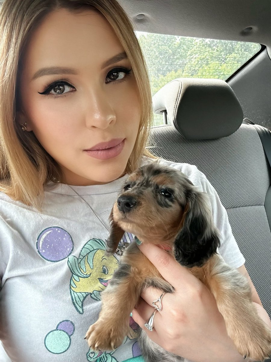 RumbleBunny777's tweet photo. 🩶🐶🩷
Welcome the newest member of our family Sable!!
#silverdapple #silverdappledachshund #puppy #doxie #dachshund #minidachshund https://t.co/Lv2Ag5QEPw