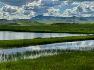 'Big Sky Country'! These were taken by our horse chiropractor energy worker, Lil, Backpack Images, Chinook, MT.

#montanaemuranch #Montana #chinook #chinookmontana #bigskycountry #bigsky #bigskylife #bigskymt #montanamoment #montanalife #montanaphotographer #montanaphotography