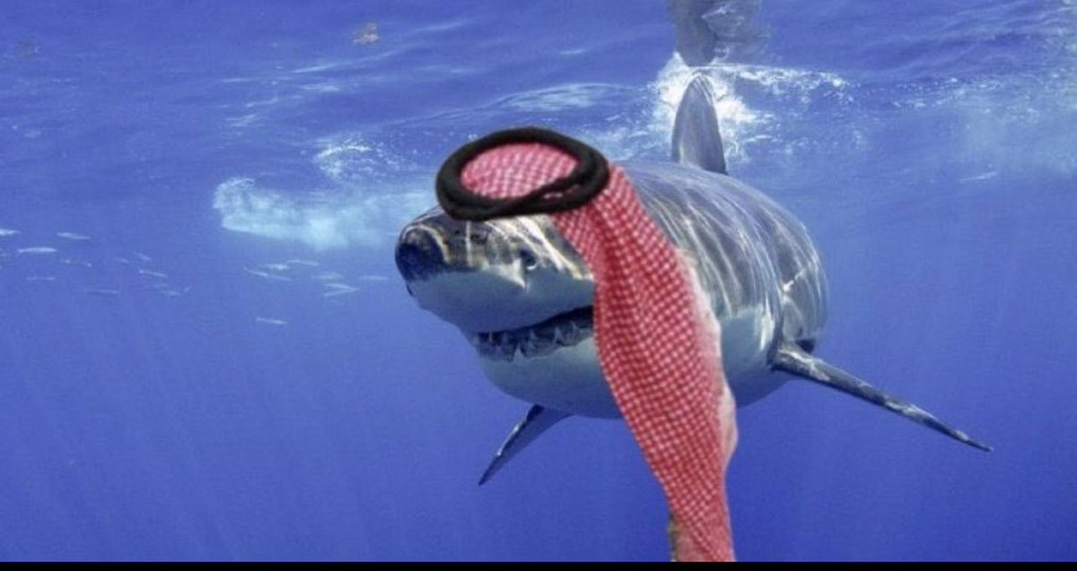 بص حضرتك اصله القرش دا سعودي