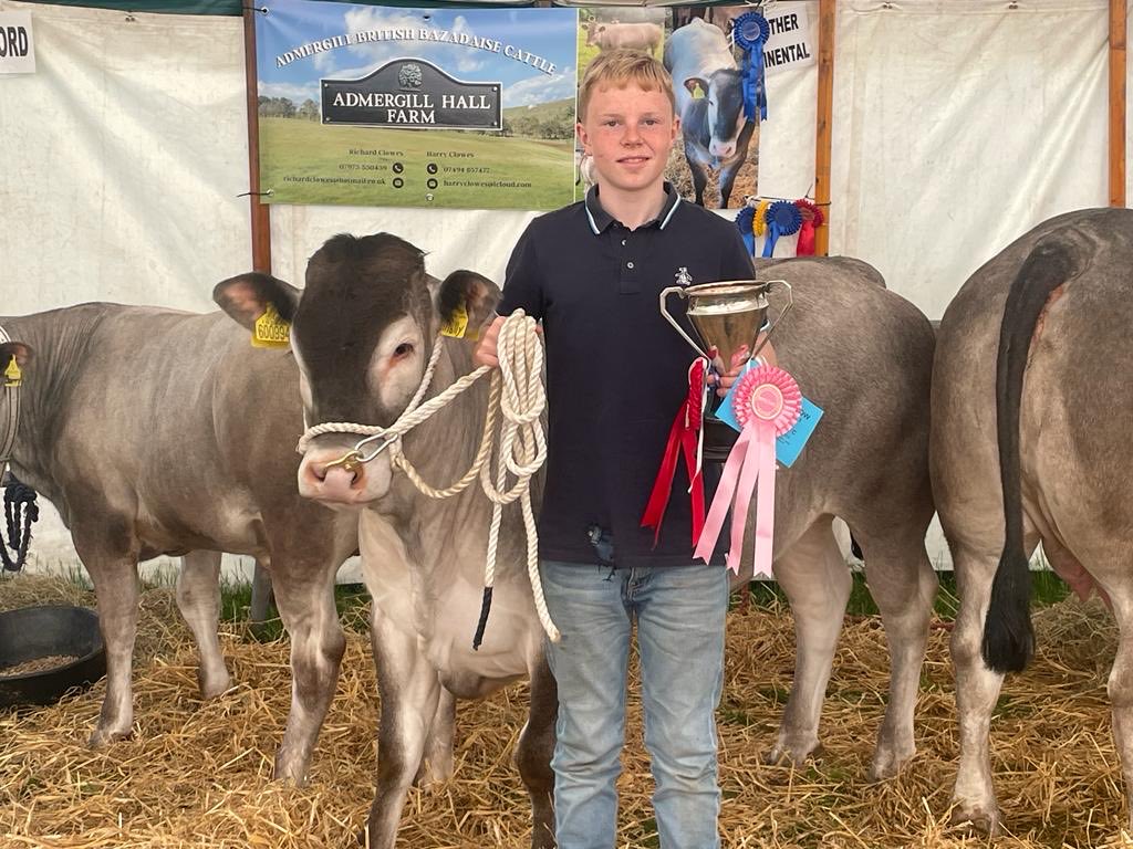 BritishBazadais's tweet photo. More results for the Admergill British #bazadaise herd at the Shropshire show https://t.co/z4LZqn4TgO