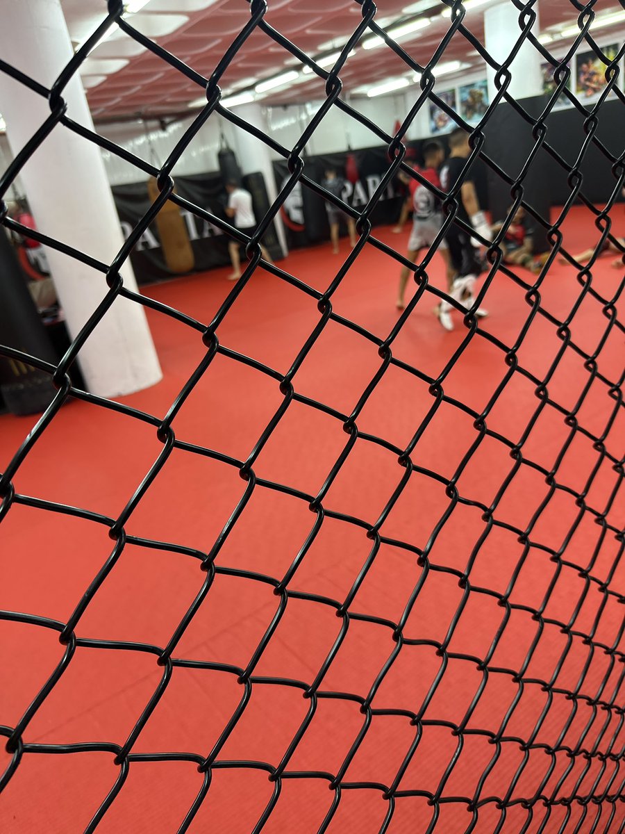 It’s time for my favorite Saturday activity 🥊 #MMA