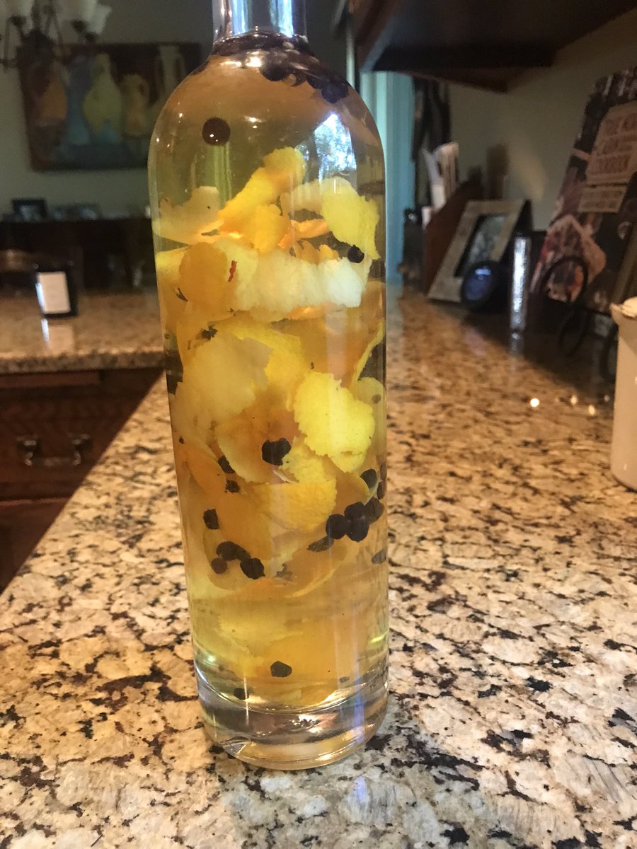 queencuisine1's tweet photo. @stephmarch Making Gin! Vodka + Juniper + citrus and spices!! https://t.co/gDM9dLXtU9