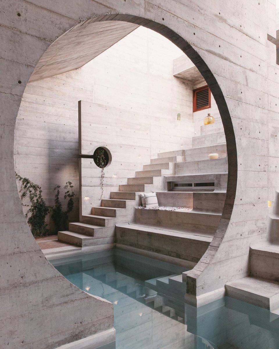 SATORI & SCOUT tweet media