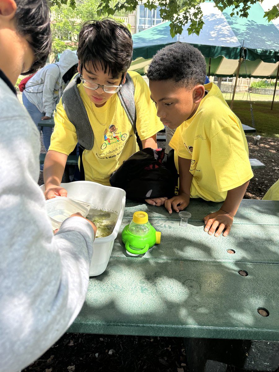 🎒Wk1 of TXACE @GoSPC SAMSA Summer Learning was a blast! @SAISD students explored @MeadowsC4Water, delving into wetlands, water analysis, endangered species, and the wonders of Spring Lake on the glass-bottom boat tour. 🐠 🦆 🌿💧🔍#SAISDfamilia @DrJaimeAquino @PattiSalzmann