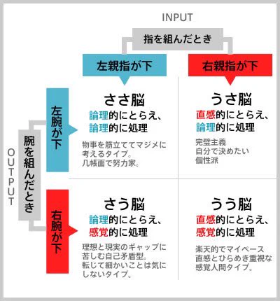 あなたはどのタイプ？その場で簡単に分かる『右脳左脳診断』が当たり過ぎると話題に