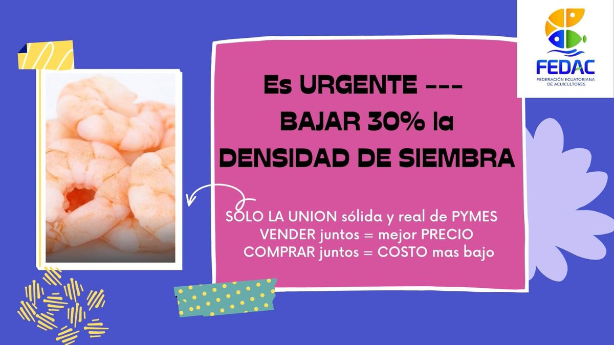 Los camaroneros del Ecuador estamos perdiendo plata, por la peor de las enfermedades, ANGURRIENTERIA
Mientras mas producimos mas baja el camaron