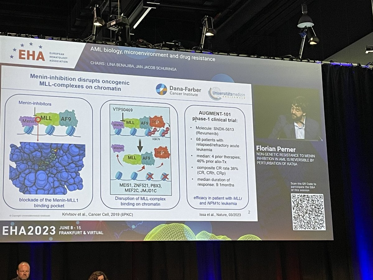 Fantastic talk by @florian_perner at EHA2023 on non-genetic mechanisms of resistance to menin-inhibitor treatment in AML!