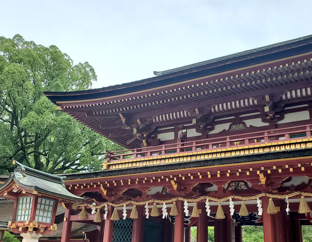 色鮮やかな紫陽花に魅せられた一日✨ https://t.co/Ou65xj6bIP