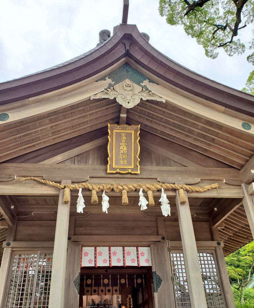 色鮮やかな紫陽花に魅せられた一日✨ https://t.co/Ou65xj6bIP