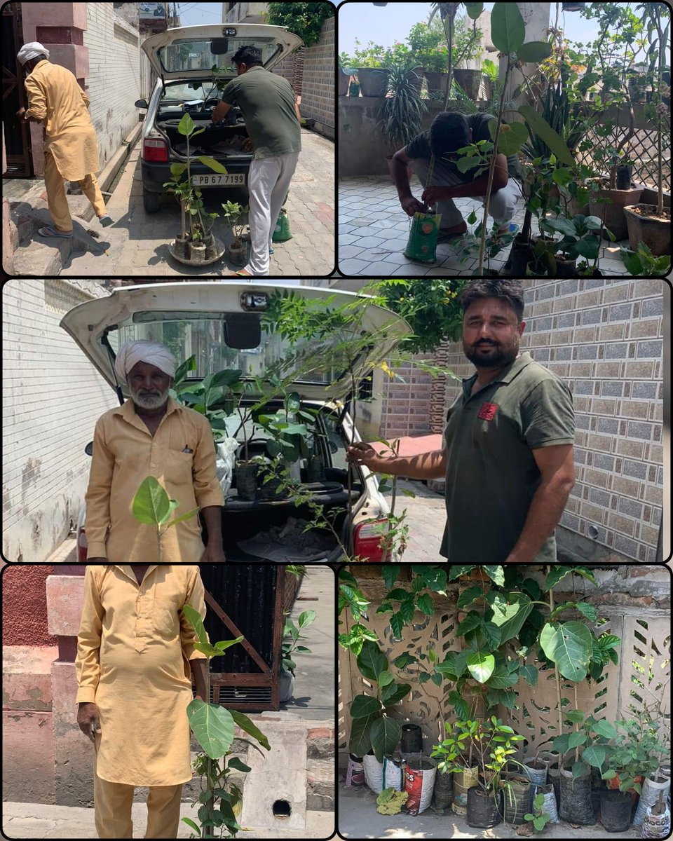 BeerhSociety's tweet photo. ਬੀੜ ਸੁਸਾਇਟੀ ਦੇ ਸੀਨੀਅਰ ਮੈਂਬਰ ਕੁਲਦੀਪ ਅੰਕਲ Kuldeep Purba ਹੁਰਾਂ ਵੱਲੋਂ ਹਰ ਸਾਲ ਸੈਂਕੜੇ ਬੋਹੜ ਪਿੱਪਲ ਤੇ ਪਿਲਕਣਾ ਤਿਆਰ ਕੀਤੇ ਜਾਂਦੇ ਨੇ… ਇਸ ਵਾਰ ਵੀ ਅੰਕਲ ਨੇ ਆਸਟ੍ਰੇਲੀਆ ਜਾਣ ਤੋਂ ਪਹਿਲਾਂ 40 ਦੇ ਕਰੀਬ ਬੋਹੜ ਪਿੱਪਲ ਤਿਆਰ ਕਰ ਦਿੱਤੇ ਸਨ..  ਇਹ ਪੌਦੇ ਅੱਜ ਵੀਰ Happy Sandhu ਹੁਰਾਂ ਨੂੰ ਬਾਈ ਤੁਹਫੇ ਵਜੋਂ ਦਿੱਤੇ… #Savesoil https://t.co/CmqQkfoGaa