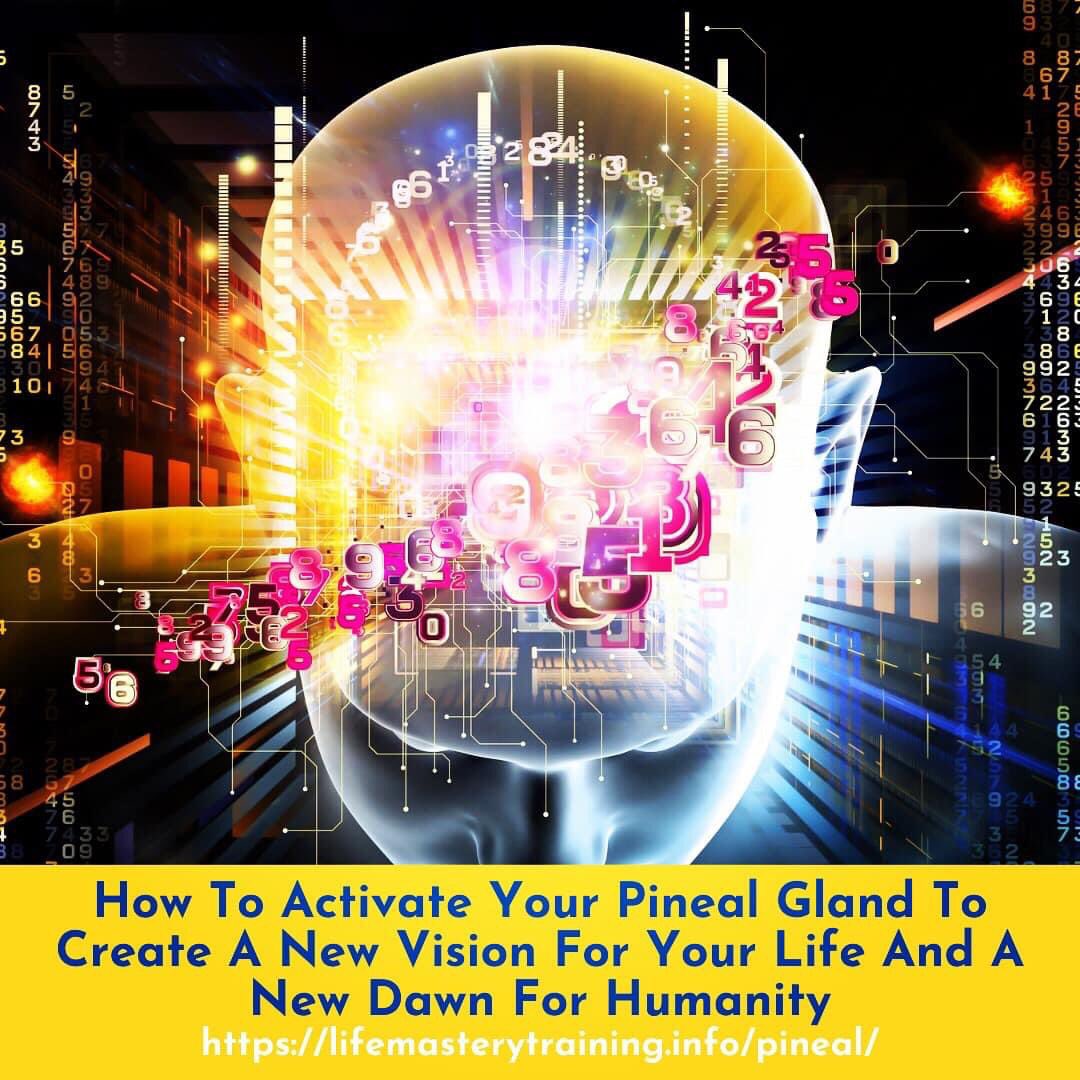RTIEM's tweet photo. PINEAL GLAND ACTIVATION👁
Friday, July 7th
7:00-9:00pm EDT
Join me in this online training where I will unlock the ancient art of activating your third eye through the pineal gland with a meditation and self-healing.

Sign up👉🏼
https://t.co/xH2eWQt72c

#meditation #pinealgland https://t.co/UWfuOJo9FW