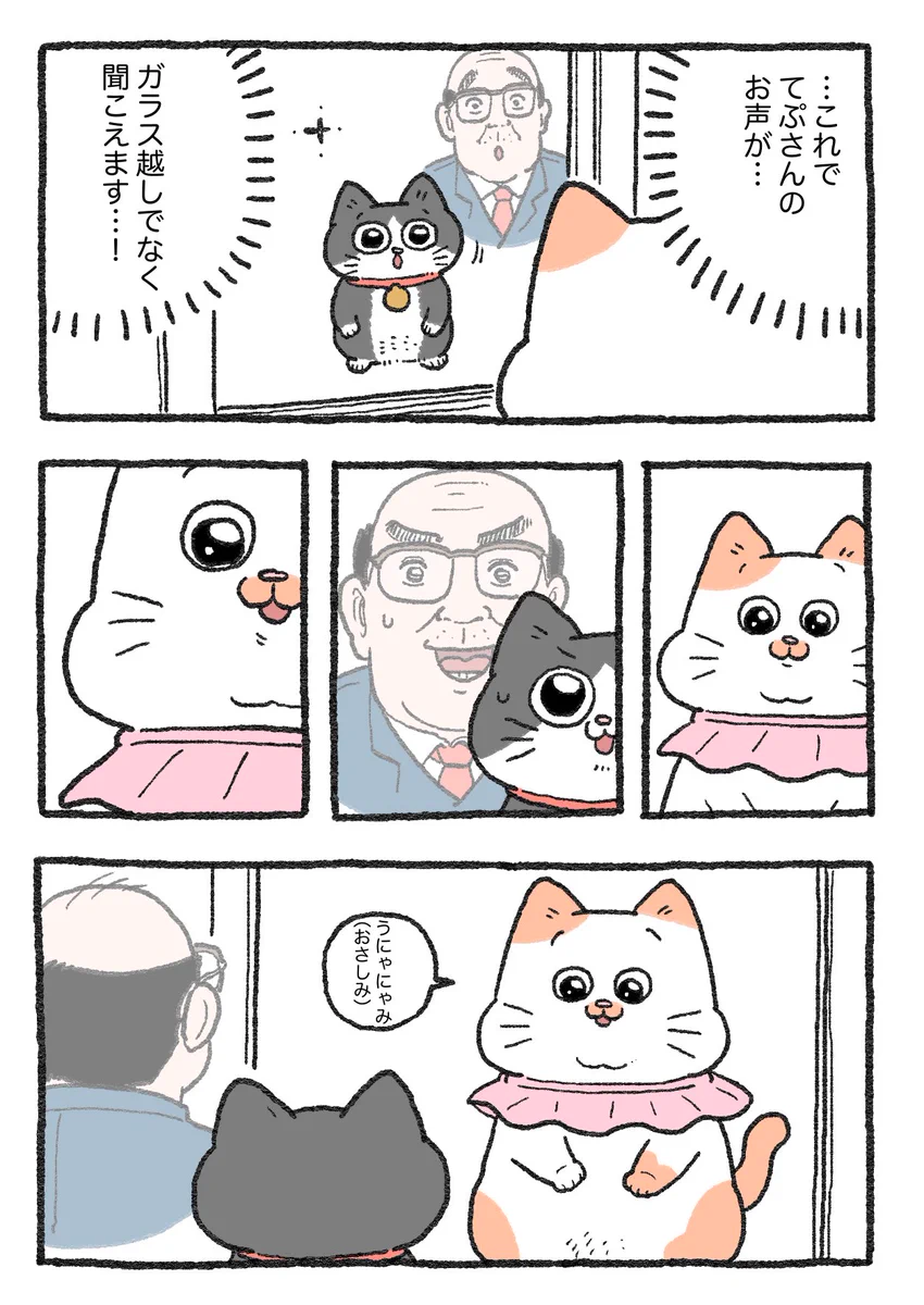 「ねこ転」その126が公開！てぷちゃんがプンちゃんに話したかった事とは…？