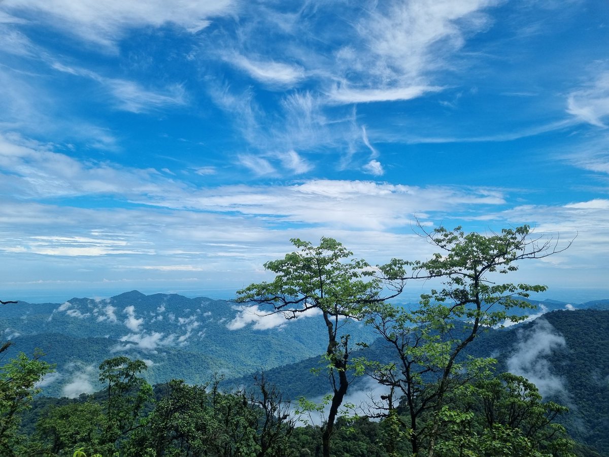 AjitSidisow's tweet photo. Nature at its best...Compelled to stop to capture this rare adorning beauty between Nyeziphu and Sessa,West Kameng @PremTallong  @marli_kamki @dususowshyani https://t.co/Y9nqChrYOf