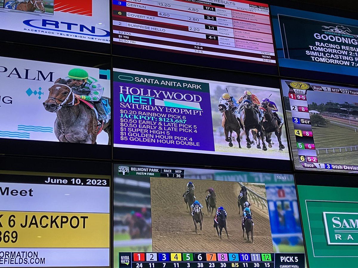 MoneyLineBet's tweet photo. Heaven on a wall 🤤 when that casino 💨 hit the nostrils moms &amp; I degenerate self woke up &amp; can’t wait to get this card to get started! Who’s everyone’s plays or plays against today? Let’s all have a kick ass day &amp; cash some tickets! #GooLuck #BelmontStakes #ShedTalkPod https://t.co/SpBx3bbxNX