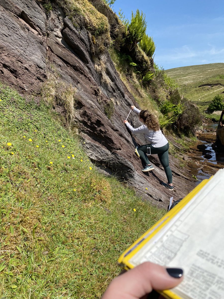 Dr Pamela Campbell tweet media