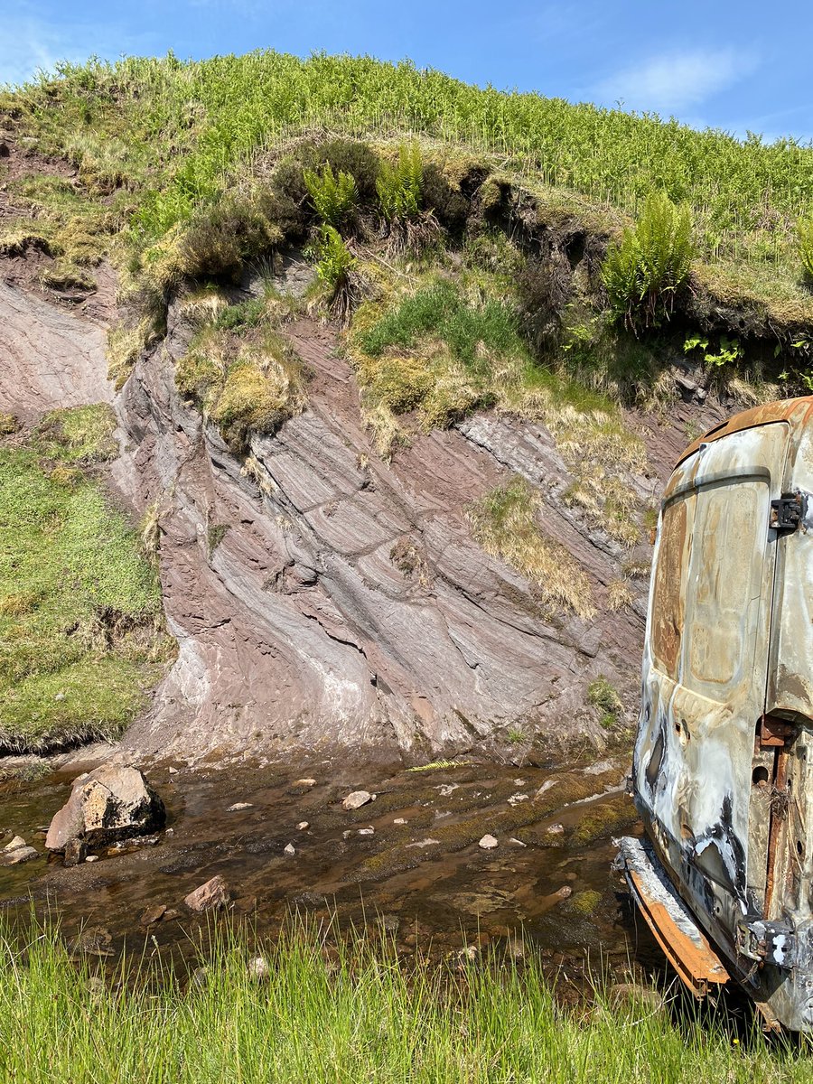 Dr Pamela Campbell tweet media