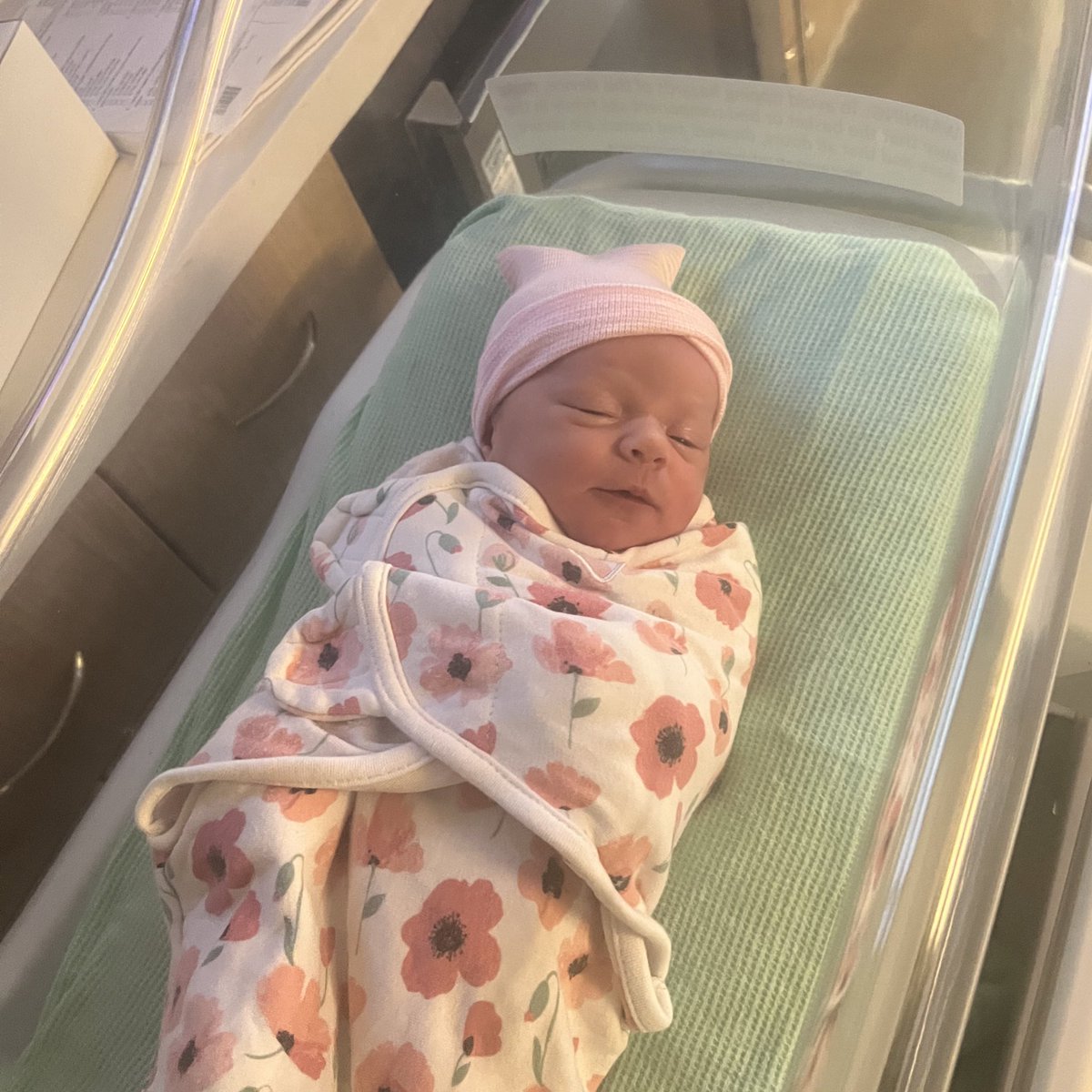 Kyle Wilke tweet media