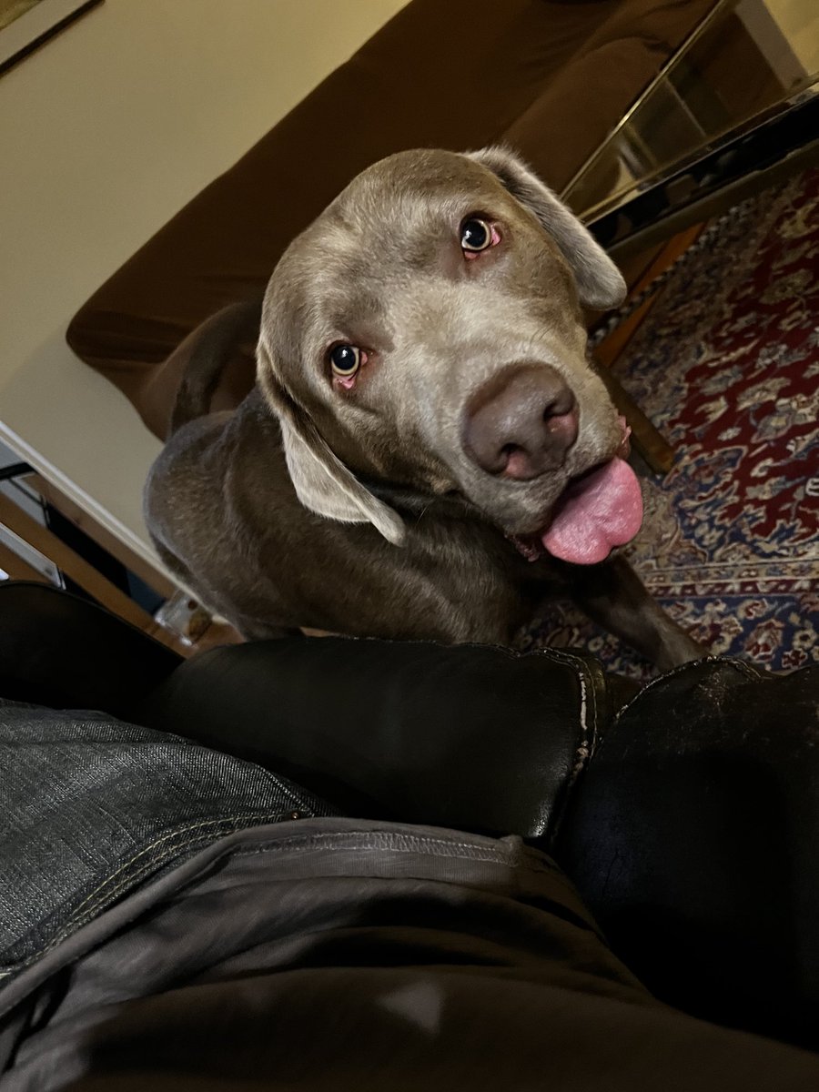 Sam Khalifa 🇺🇸 tweet media