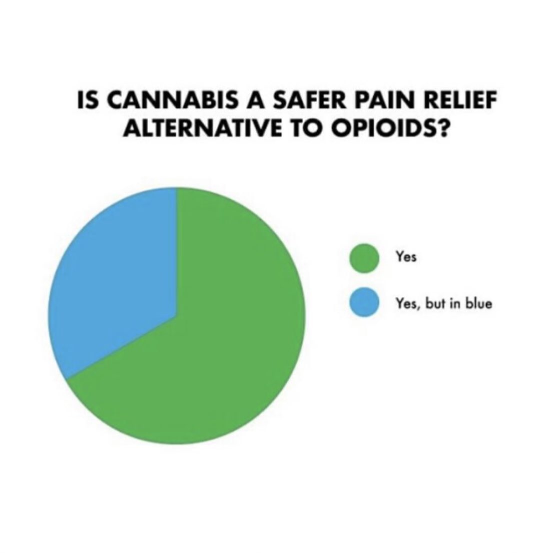 I don’t think it’s even close! We should all have the choice of what to put in our body, especially when we know the alternative is dangerous, so dangerous our government has a whole special board trying to figure out the opioid epidemic…#Cannabis #LegalizeIt #CannabisCommunity…