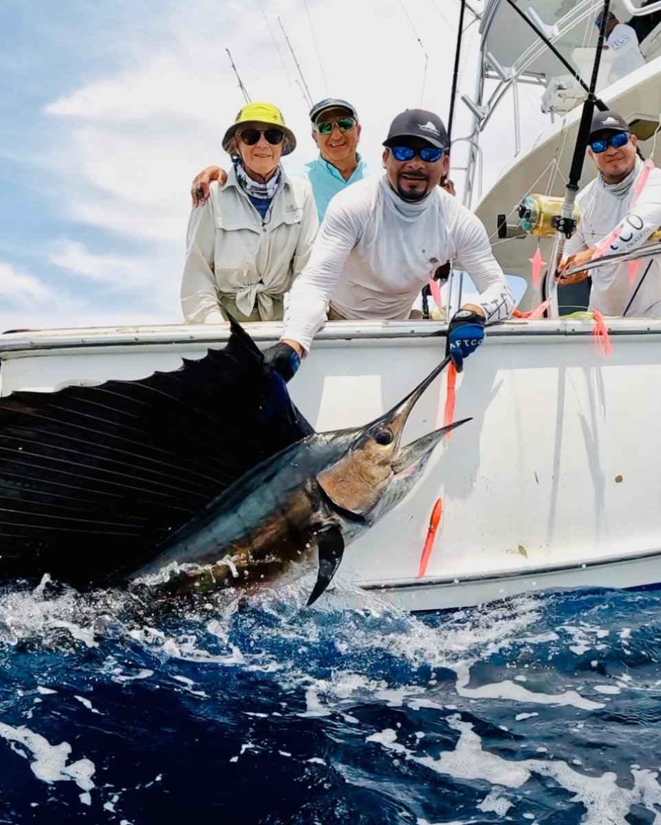 A sunny Sailfish for your Saturday feed 🌞
• 
#SailfishSunday #Sailfish #OffShoreFishing #billfishing #GuatemalaFishing #DeepSeaFishing #FishingVacation #FishingCharter #CatchAndRelease  #CasaViejaLodge