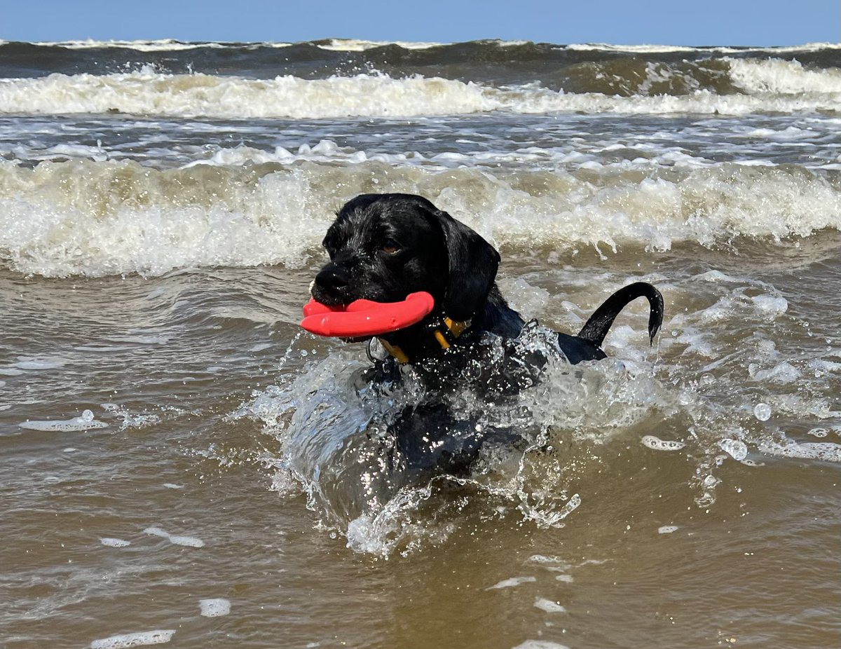 #baywatch 😎