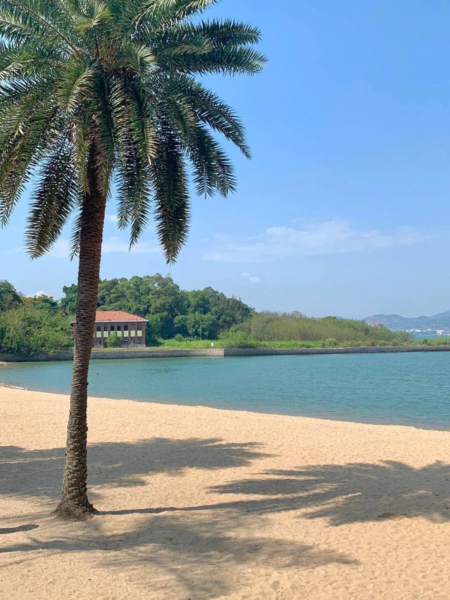 rubycalime84's tweet image. Take a walk around the beach and enjoy a relaxing day out