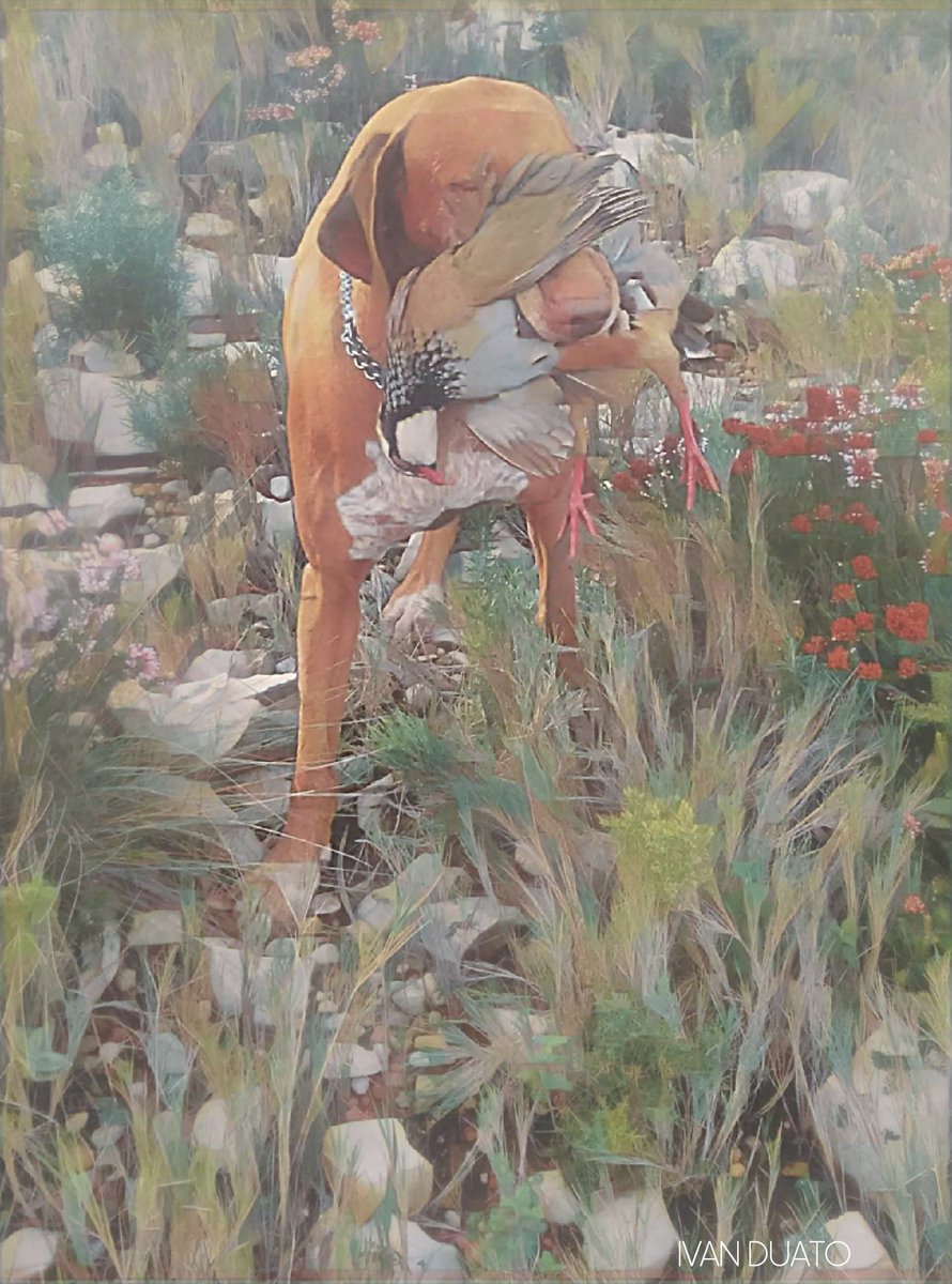 Ivan Duato (@duatoivan_) on Twitter photo 