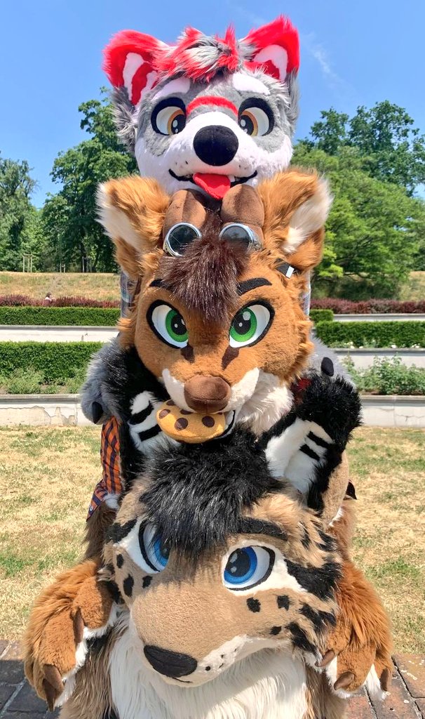 Totem of fluff with:

@MiloBlackstar 
me
@Japuk_fur 

#Furry #Fursuiter #fursuit #fursuiting