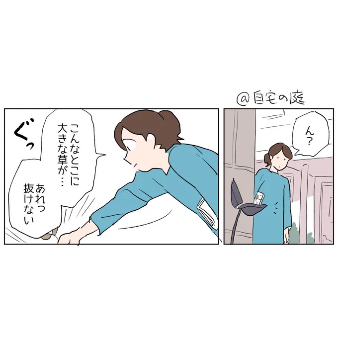 日常🌼
庭の隅で見つけた葉っぱ🌱、どう見ても草じゃなかった。 