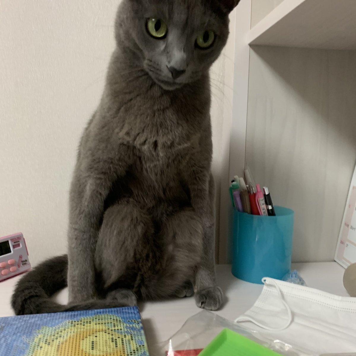 마! 니 자신있나!