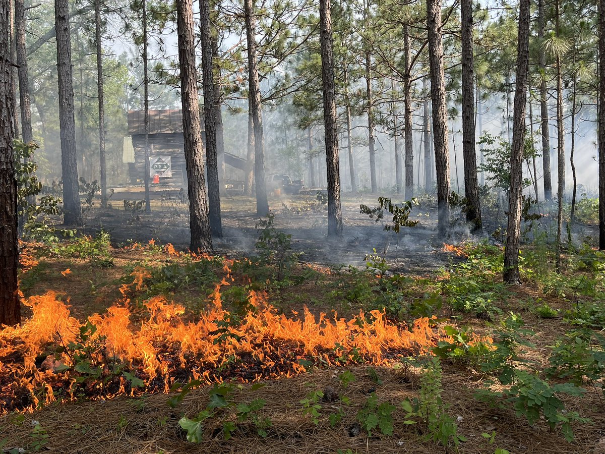 Just finished an action-packed 3-day experiential training for Extension and outreach folks from around the country. Highlights: mini fire festival, matchstick forests, demo burn, and a learn & burn with the Sandhills Prescribed Burn Association. So much great sharing & learning!