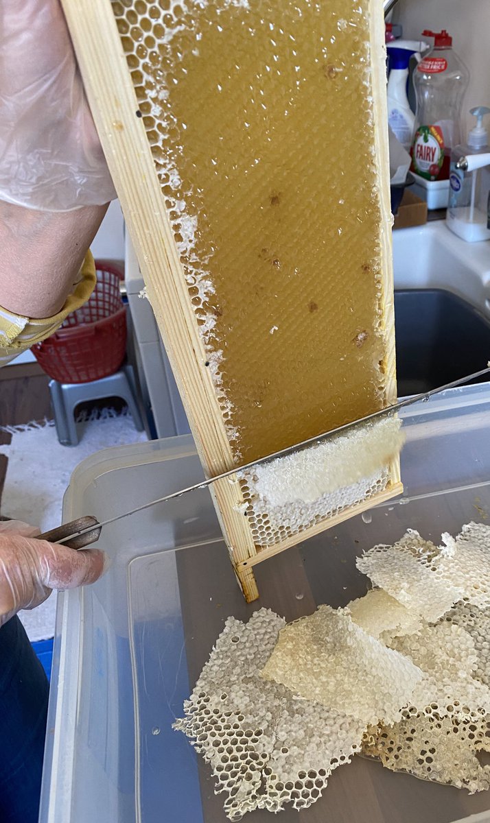 Let the stickiness begin!