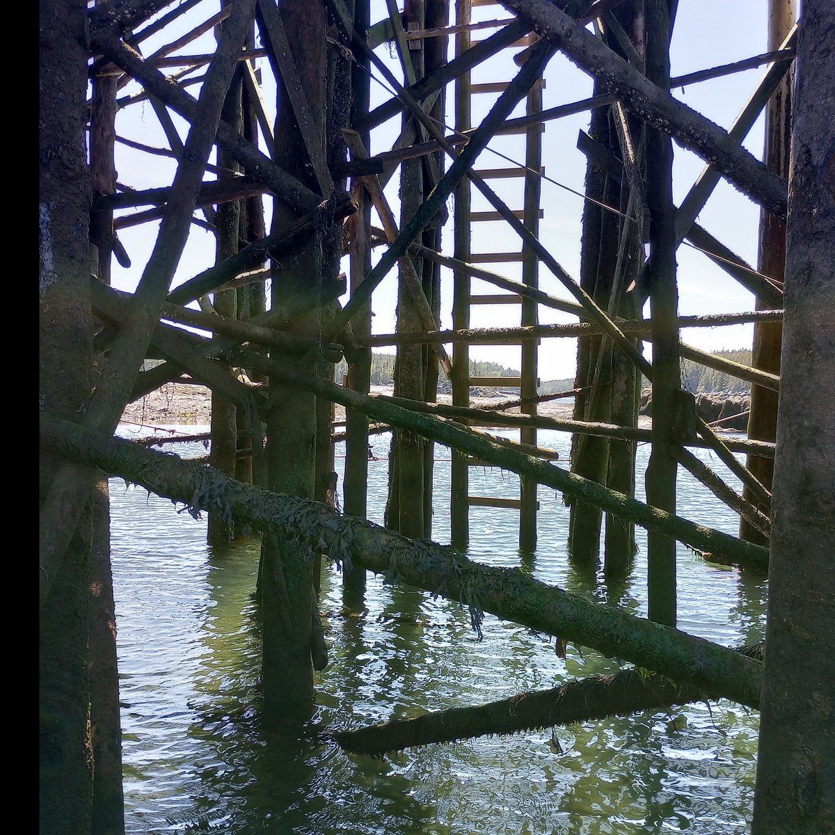 Low tide at Head Harbour

#islandlife #islandhopping