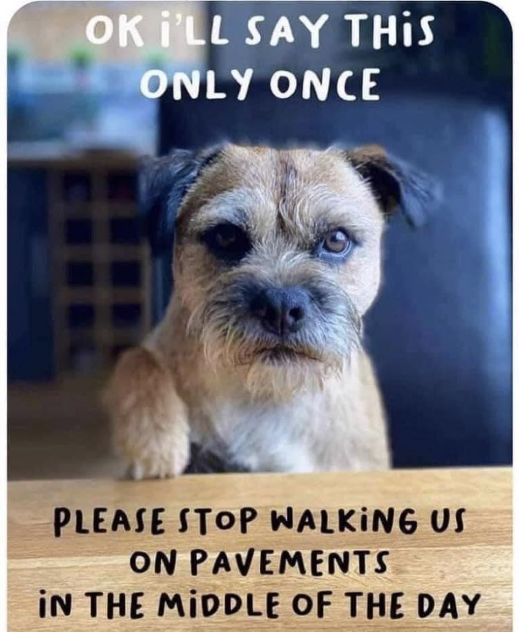 #Heatwave pls pls don’t walk the pooches 🐶🐶🐶🔥🔥
