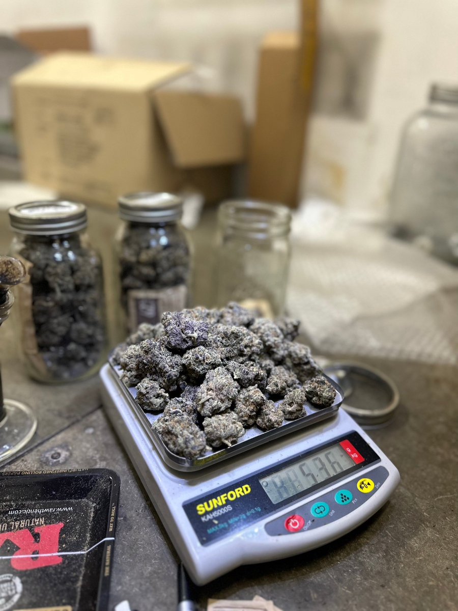 Theterphunt's tweet photo. 📌•Genetics : Exotic genetics 🧬 
pattaya if interested DM 📲for more info 🌏🇪🇺
Quality💯
[ Thc Extractions ] 
[hashish 🇪🇸 400] [Resin 🇪🇸]
[ 🥞Crumble 600฿ 🇺🇸] 
[ 🧈butter wax 650฿ 🇺🇸]
#pattayaweed #Delivery #quality #420pattaya #hash #wax #Liveresin #cannabispattya #420ไทย https://t.co/1EVcsk5sHf