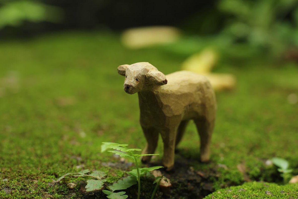 Tiny lamb 🌱🐑 
#woodcarving