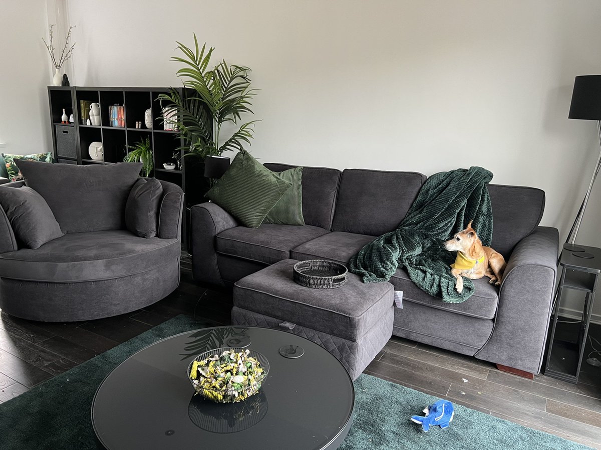 Efffffeee's tweet photo. Happy new couch day 💚 https://t.co/UeFfeWPmgt